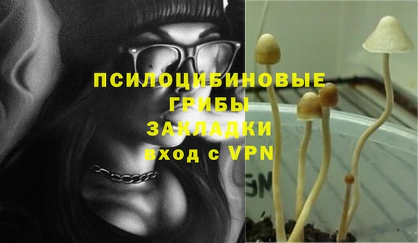 экстази Гусев