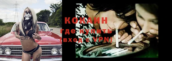 молекула духа Горняк