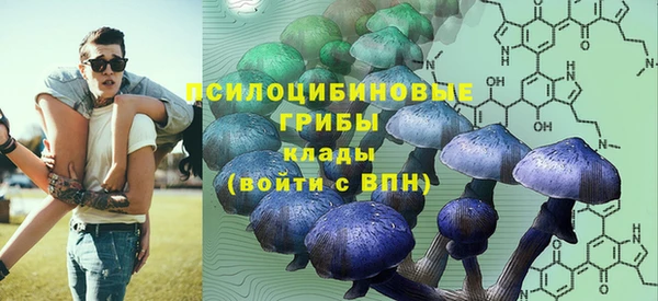хмурый Лиски