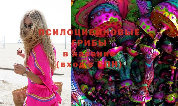 экстази Гусев