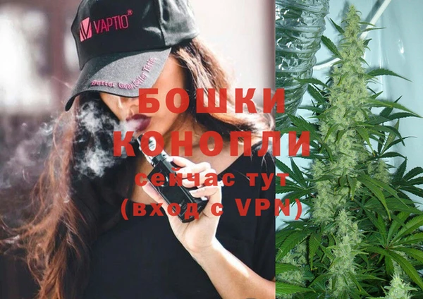экстази Гусев