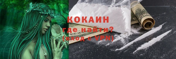 молекула духа Горняк